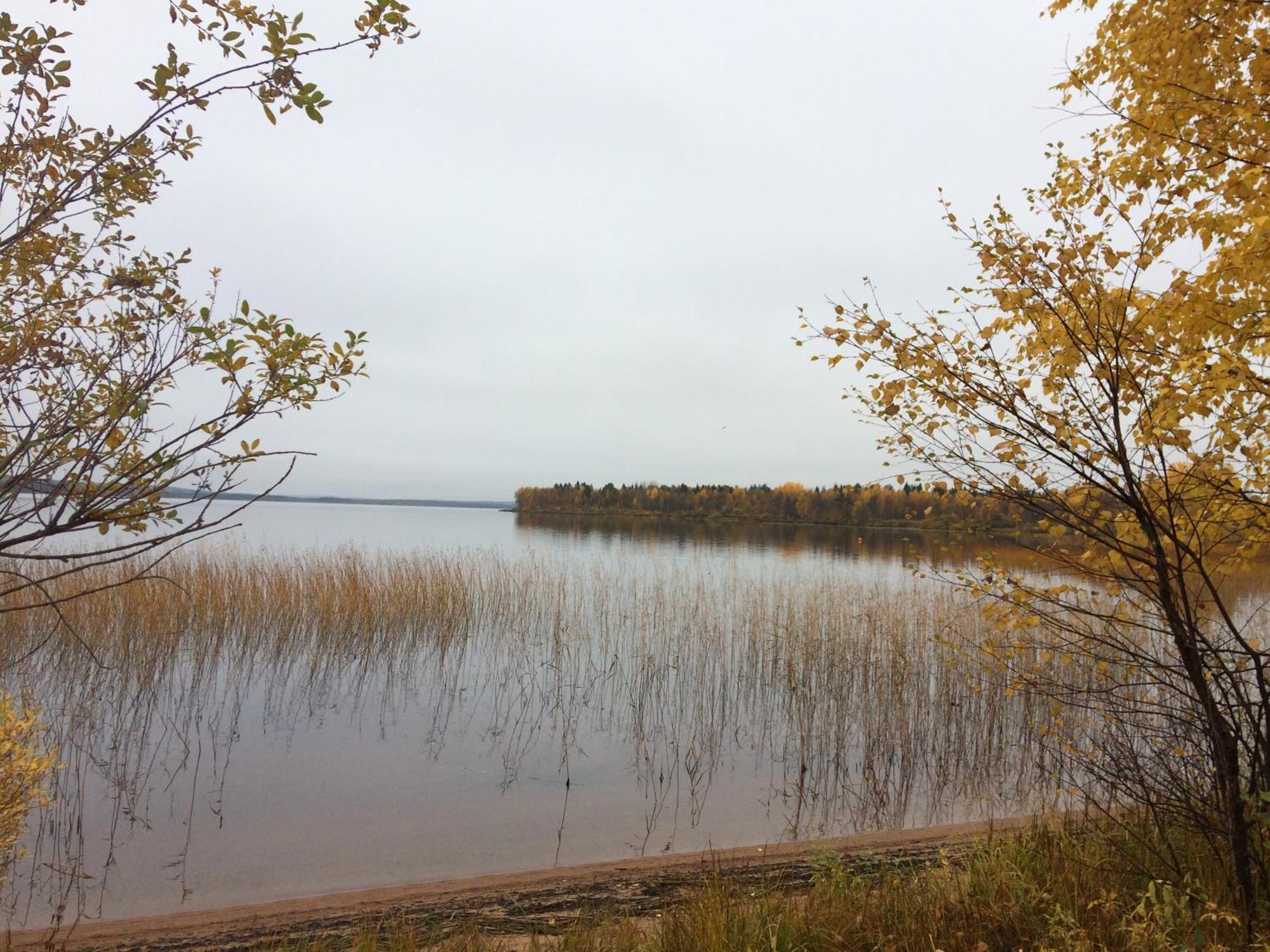 Ahosen Lomamökit Vikajärvi Exteriör bild