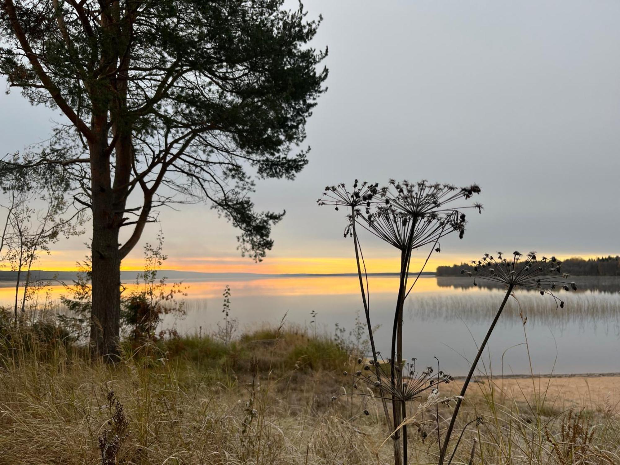 Ahosen Lomamökit Vikajärvi Exteriör bild