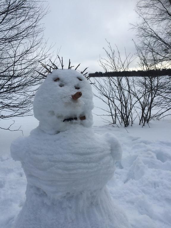 Ahosen Lomamökit Vikajärvi Exteriör bild